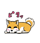 実家犬モミジちゃん（個別スタンプ：34）