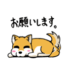 実家犬モミジちゃん（個別スタンプ：35）