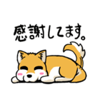 実家犬モミジちゃん（個別スタンプ：36）