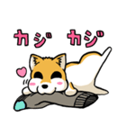 実家犬モミジちゃん（個別スタンプ：38）