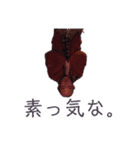 陽気なオジサン仲間たち（個別スタンプ：23）