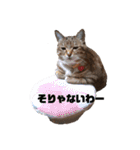 RobinTinaTerry（個別スタンプ：3）