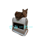 RobinTinaTerry（個別スタンプ：4）