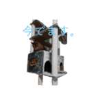 RobinTinaTerry（個別スタンプ：8）