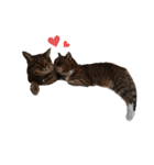 RobinTinaTerry（個別スタンプ：15）
