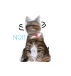 RobinTinaTerry（個別スタンプ：16）