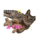 RobinTinaTerry（個別スタンプ：30）