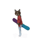 RobinTinaTerry（個別スタンプ：31）