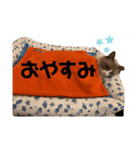 半純血のプリンスRONさん（個別スタンプ：7）
