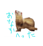 モカ わさび（個別スタンプ：1）