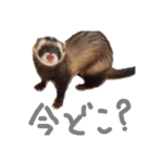 モカ わさび（個別スタンプ：2）