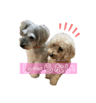 ♡モンロー＆ベベ♡（個別スタンプ：2）