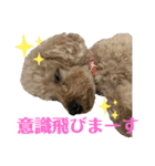 ♡モンロー＆ベベ♡（個別スタンプ：5）