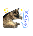 OOちゃん♪（個別スタンプ：2）