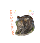 OOちゃん♪（個別スタンプ：12）