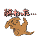 キャバリアちゃんのデカ文字スタンプ（個別スタンプ：40）