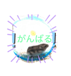 ❣️楽しいスタンプ❣️（個別スタンプ：1）