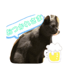 ❣️楽しいスタンプ❣️（個別スタンプ：2）