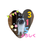 315の暮らし②（個別スタンプ：1）
