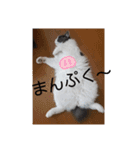 315の暮らし②（個別スタンプ：4）