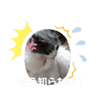315の暮らし②（個別スタンプ：8）