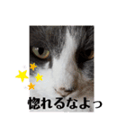 315の暮らし②（個別スタンプ：13）
