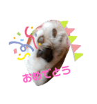 315の暮らし②（個別スタンプ：15）