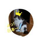 315の暮らし②（個別スタンプ：16）