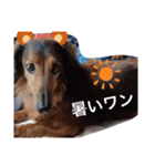 幸之助さん5（個別スタンプ：6）