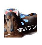 幸之助さん5（個別スタンプ：7）