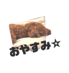 John 4（個別スタンプ：2）