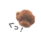 John 4（個別スタンプ：4）