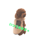 John 4（個別スタンプ：6）