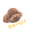 John 4（個別スタンプ：10）