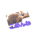 John 4（個別スタンプ：11）