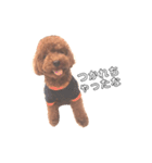 John 4（個別スタンプ：13）