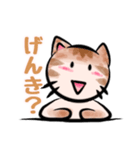 猫が語る日常会話（個別スタンプ：4）