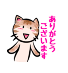 猫が語る日常会話（個別スタンプ：5）