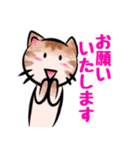 猫が語る日常会話（個別スタンプ：8）