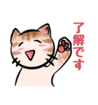 猫が語る日常会話（個別スタンプ：25）