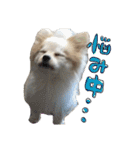 我が家のポテチくん（個別スタンプ：11）