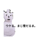 自覚なし雪だるま（個別スタンプ：1）