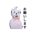 自覚なし雪だるま（個別スタンプ：20）