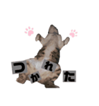 o e o（個別スタンプ：3）