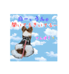 愛犬樹里のスタンプパート2（個別スタンプ：5）