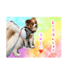 愛犬樹里のスタンプパート2（個別スタンプ：6）
