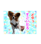 愛犬樹里のスタンプパート2（個別スタンプ：19）