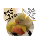 動物たちに秋が来た！by 英語チノカフェ（個別スタンプ：2）