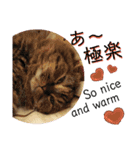 動物たちに秋が来た！by 英語チノカフェ（個別スタンプ：4）