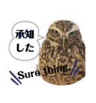 動物たちに秋が来た！by 英語チノカフェ（個別スタンプ：10）